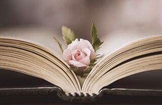 цветя и книги