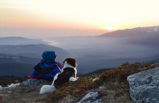 © снимка: Димитрина Лавчиева ; Shutterstock